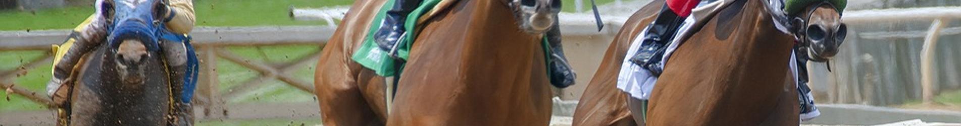 المقامرة عبر الإنترنت أستراليا في ارتفاع حاد المقامرة عبر الإنترنت أستراليا في ارتفاع حاد