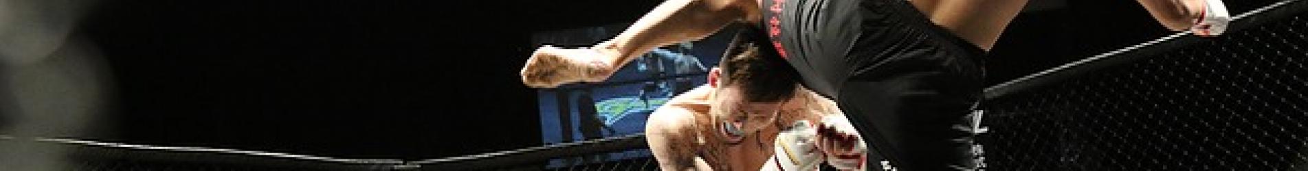 مباريات UFC في أبوظبي 2020 مباريات UFC في أبوظبي 2020