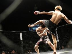 مباريات UFC في أبوظبي 2020