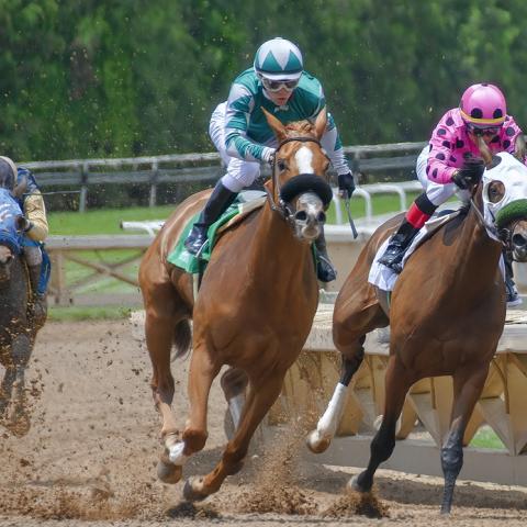 المقامرة عبر الإنترنت أستراليا في ارتفاع حاد المقامرة عبر الإنترنت أستراليا في ارتفاع حاد